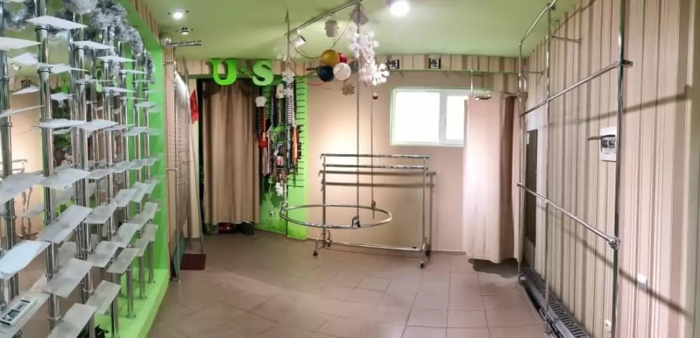 1000036057