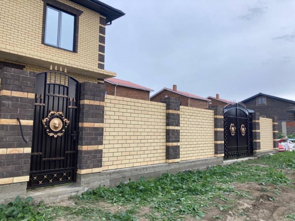 img_20260211_152838_785